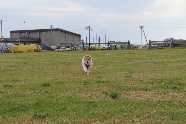 ファイル 111-6.jpg