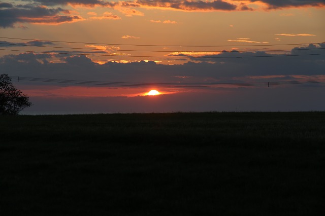 ファイル 112-1.jpg