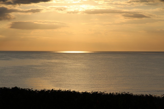 ファイル 112-4.jpg