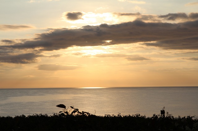 ファイル 112-5.jpg