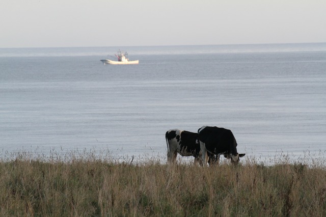 ファイル 112-7.jpg