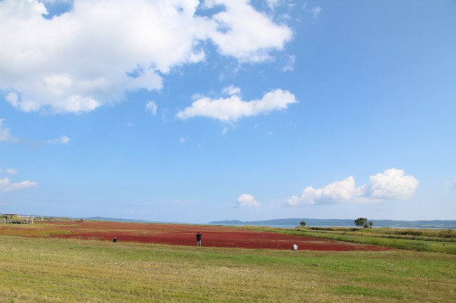 ファイル 113-4.jpg