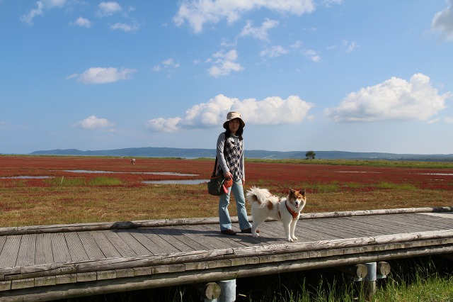 ファイル 113-5.jpg