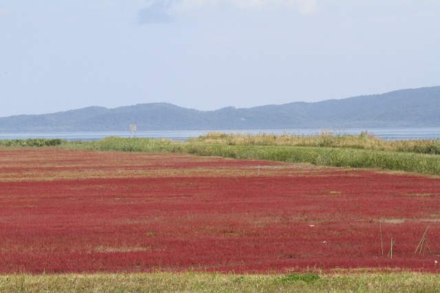 ファイル 113-6.jpg