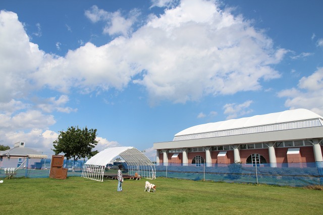 ファイル 113-7.jpg