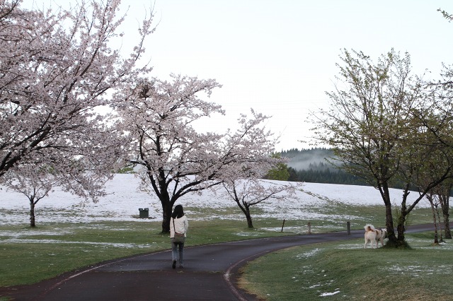 ファイル 116-8.jpg