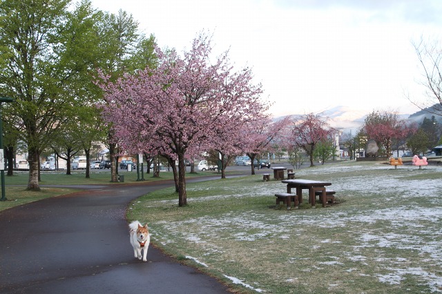 ファイル 116-9.jpg