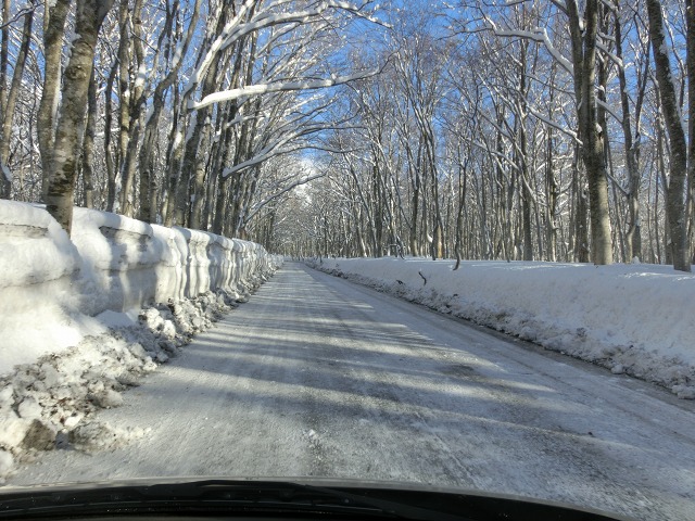 ファイル 117-2.jpg