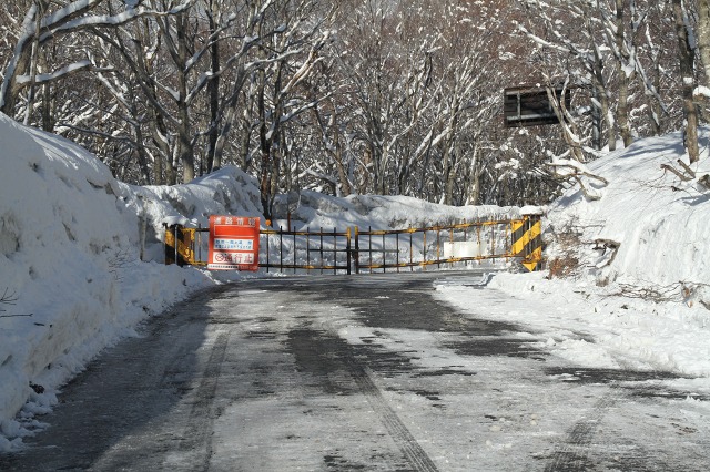 ファイル 117-3.jpg