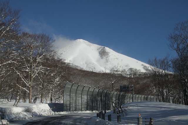 ファイル 117-4.jpg