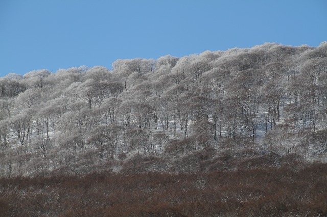 ファイル 117-5.jpg