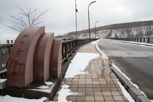 ファイル 117-7.jpg