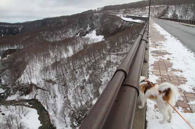 ファイル 117-8.jpg