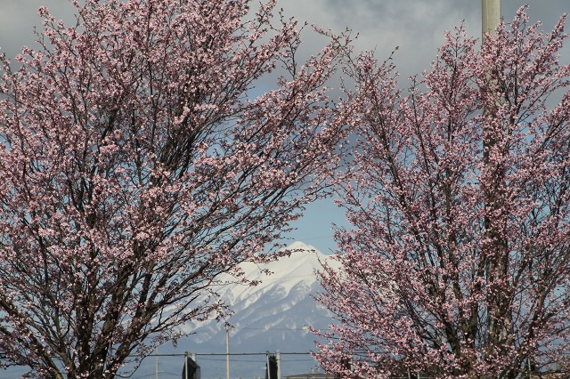 ファイル 117-9.jpg