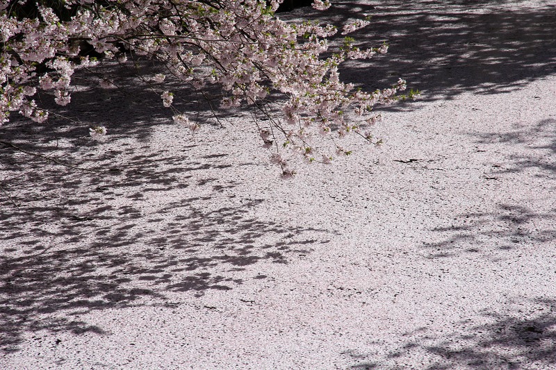 ファイル 118-6.jpg