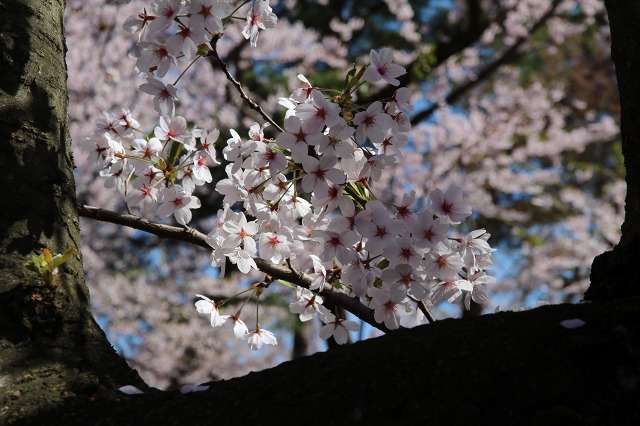 ファイル 118-7.jpg