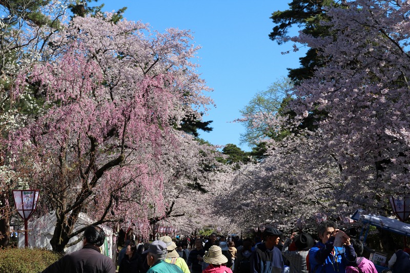 ファイル 119-1.jpg