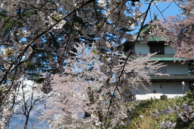 ファイル 119-4.jpg