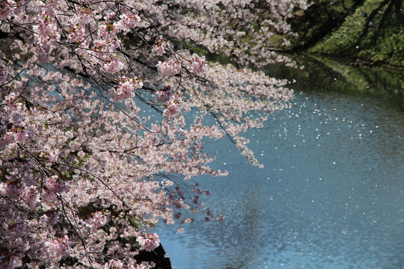 ファイル 119-5.jpg