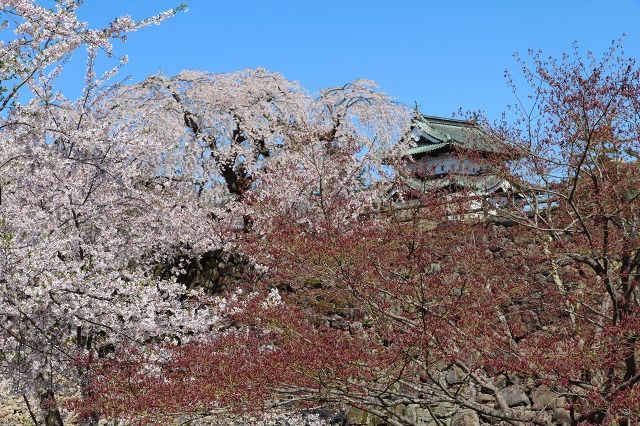 ファイル 119-7.jpg