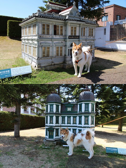 ファイル 119-9.jpg