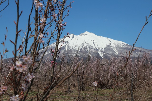 ファイル 120-1.jpg