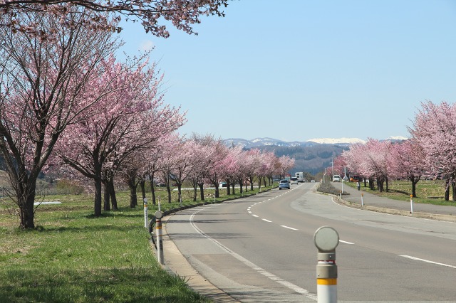 ファイル 120-2.jpg