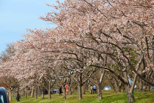 ファイル 121-1.jpg