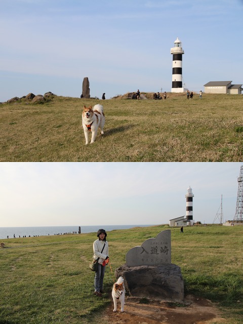 ファイル 121-5.jpg