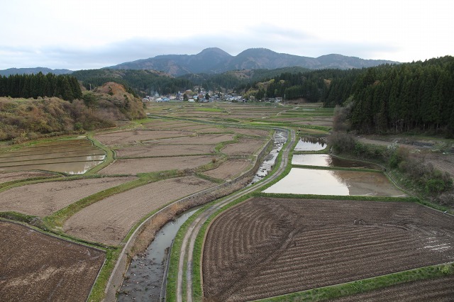 ファイル 121-8.jpg