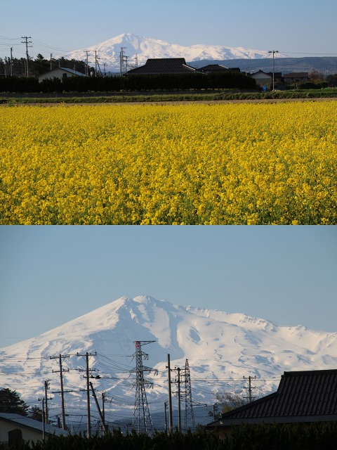 ファイル 122-5.jpg