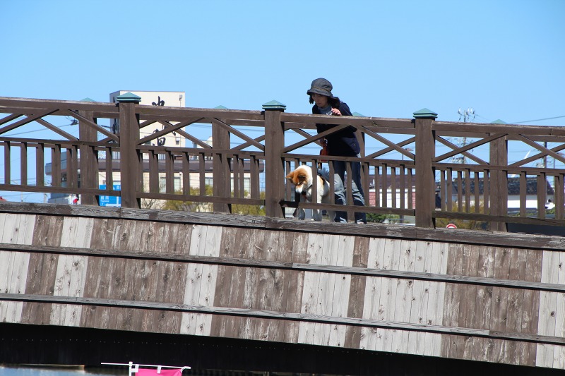 ファイル 123-2.jpg