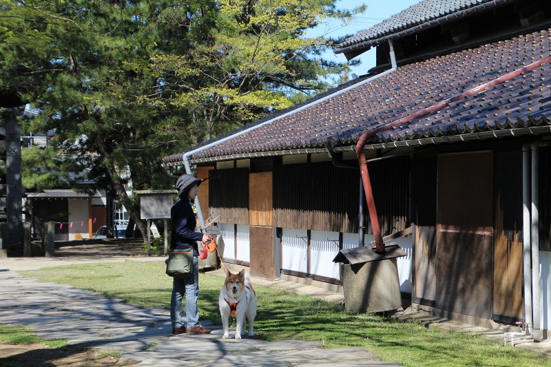 ファイル 123-7.jpg