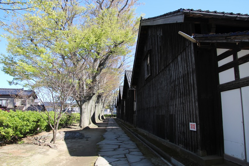 ファイル 123-8.jpg