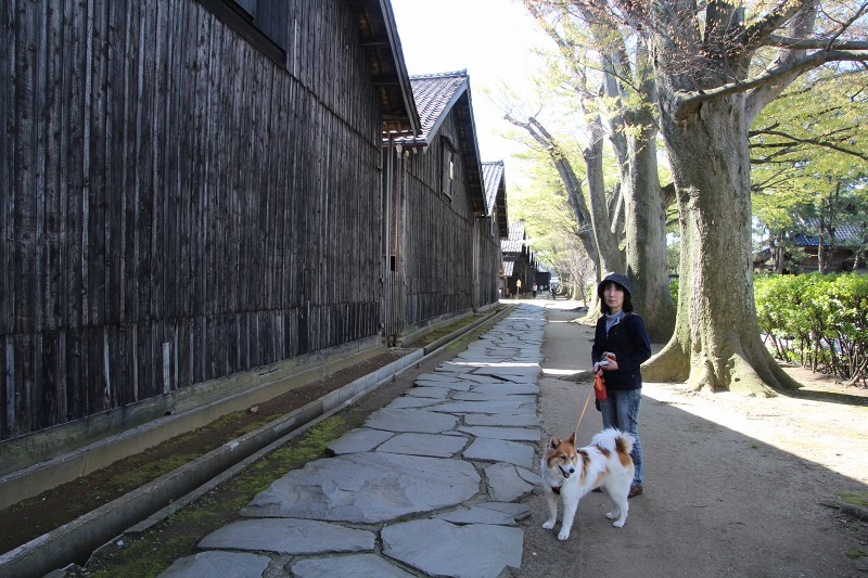 ファイル 123-9.jpg