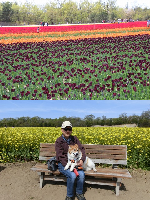 ファイル 124-5.jpg