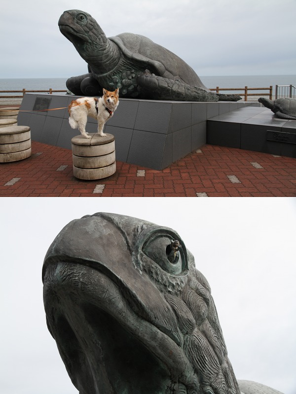 ファイル 127-5.jpg