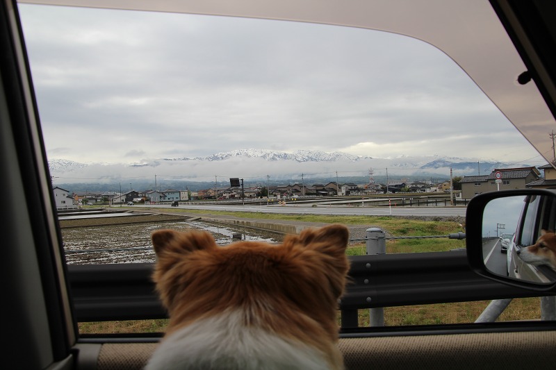 ファイル 127-7.jpg