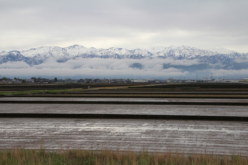 ファイル 127-8.jpg