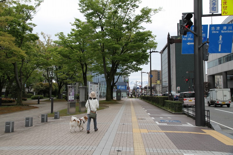 ファイル 128-7.jpg