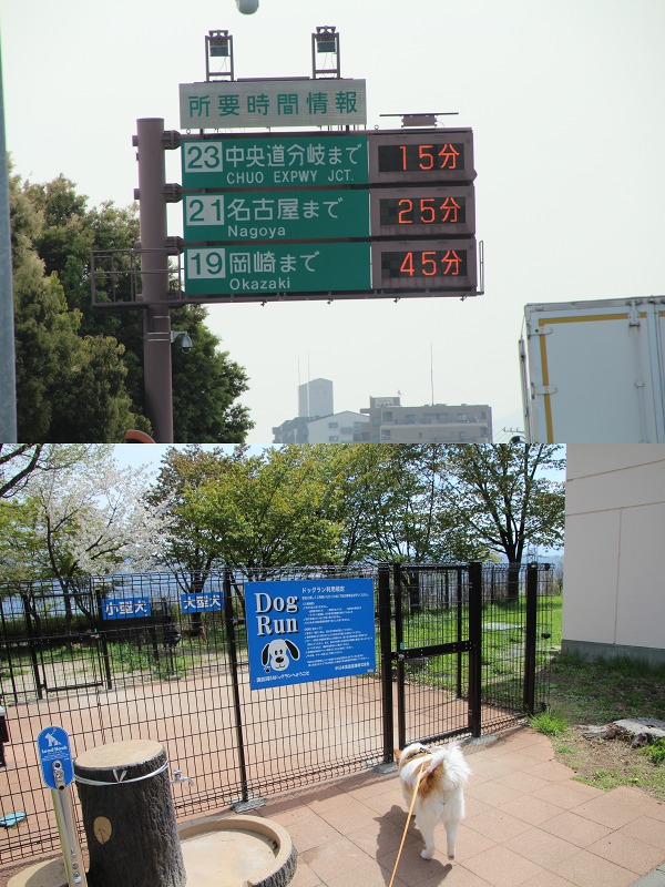 ファイル 131-1.jpg