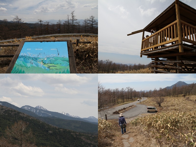 ファイル 131-3.jpg