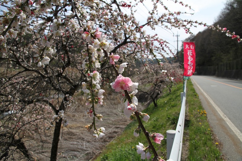 ファイル 131-6.jpg