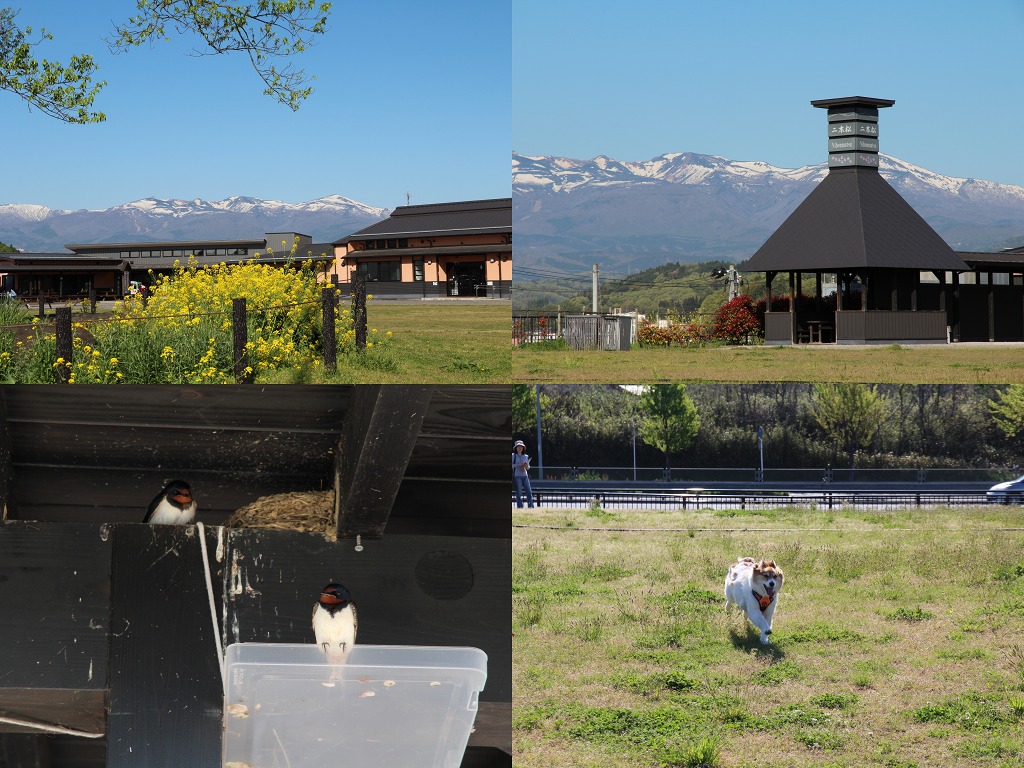 ファイル 132-3.jpg