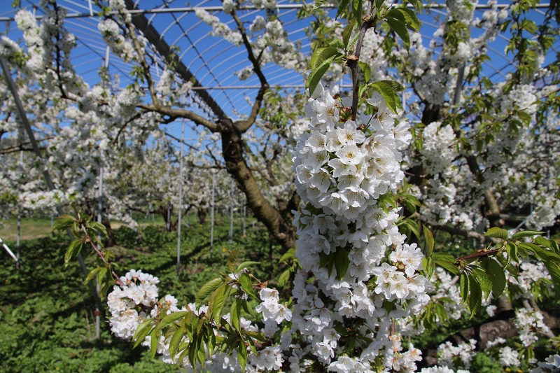 ファイル 132-4.jpg