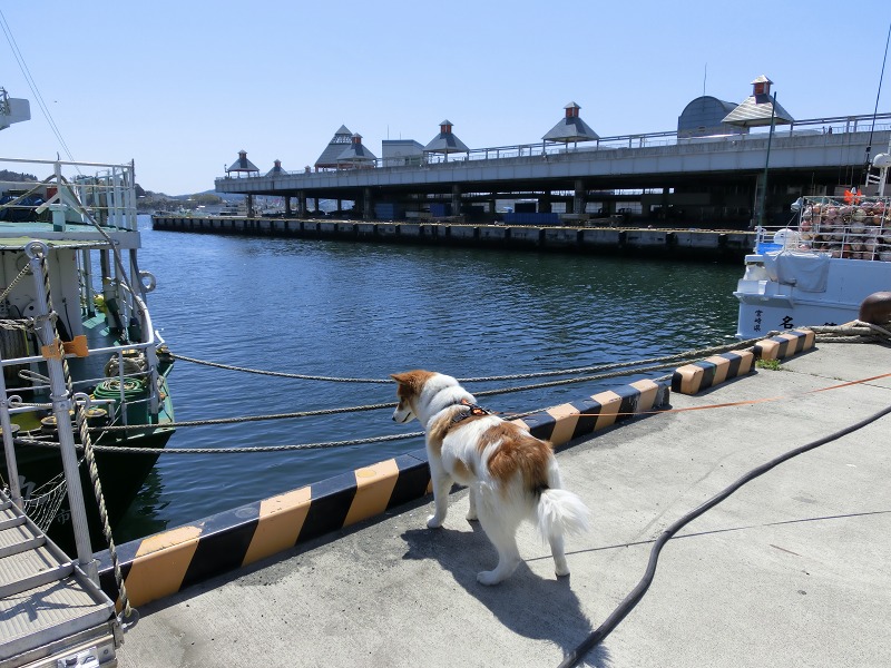 ファイル 135-1.jpg