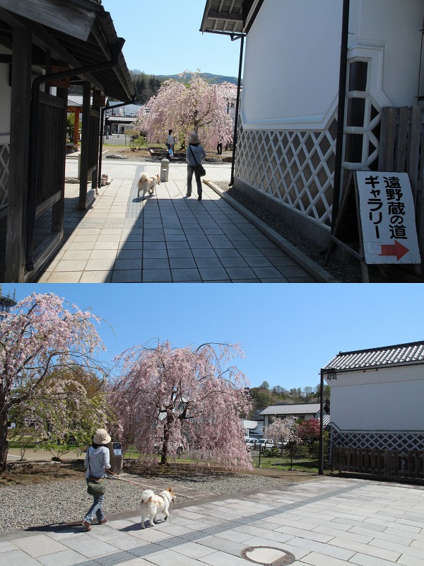 ファイル 136-7.jpg