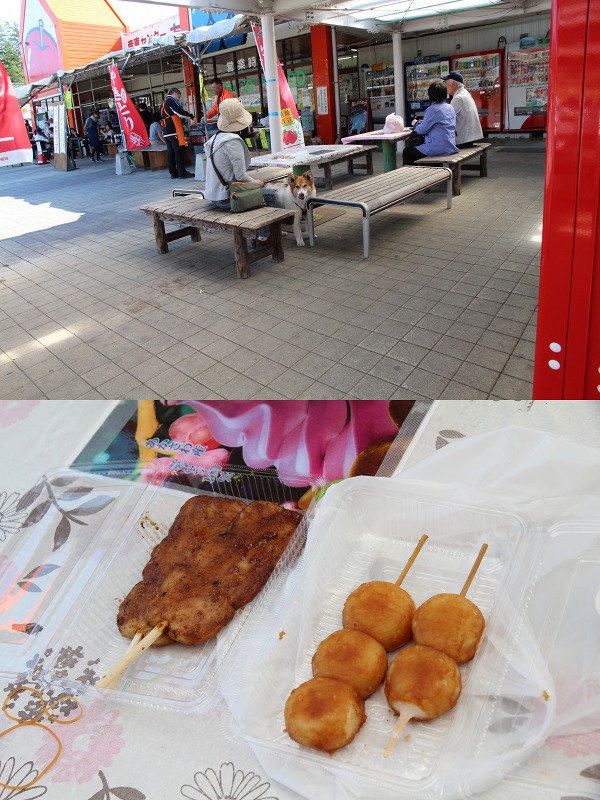 ファイル 137-1.jpg