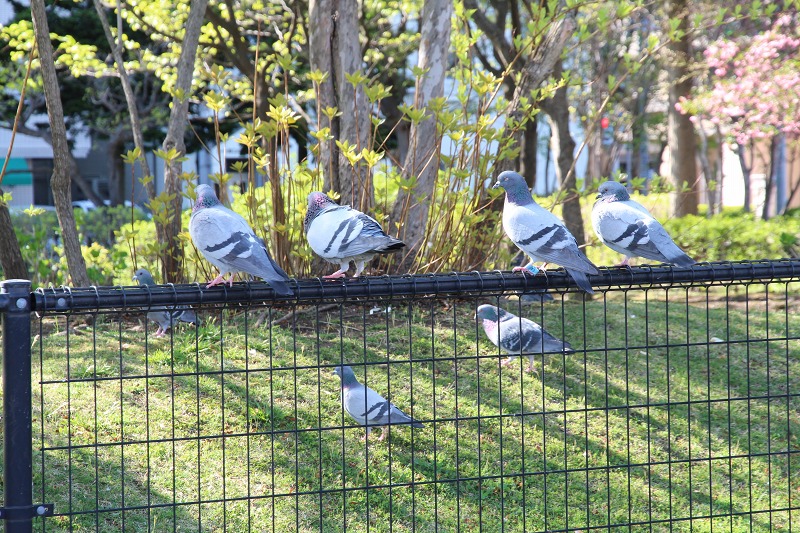 ファイル 137-3.jpg