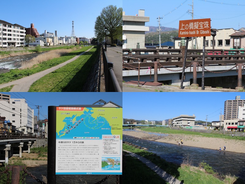 ファイル 137-4.jpg